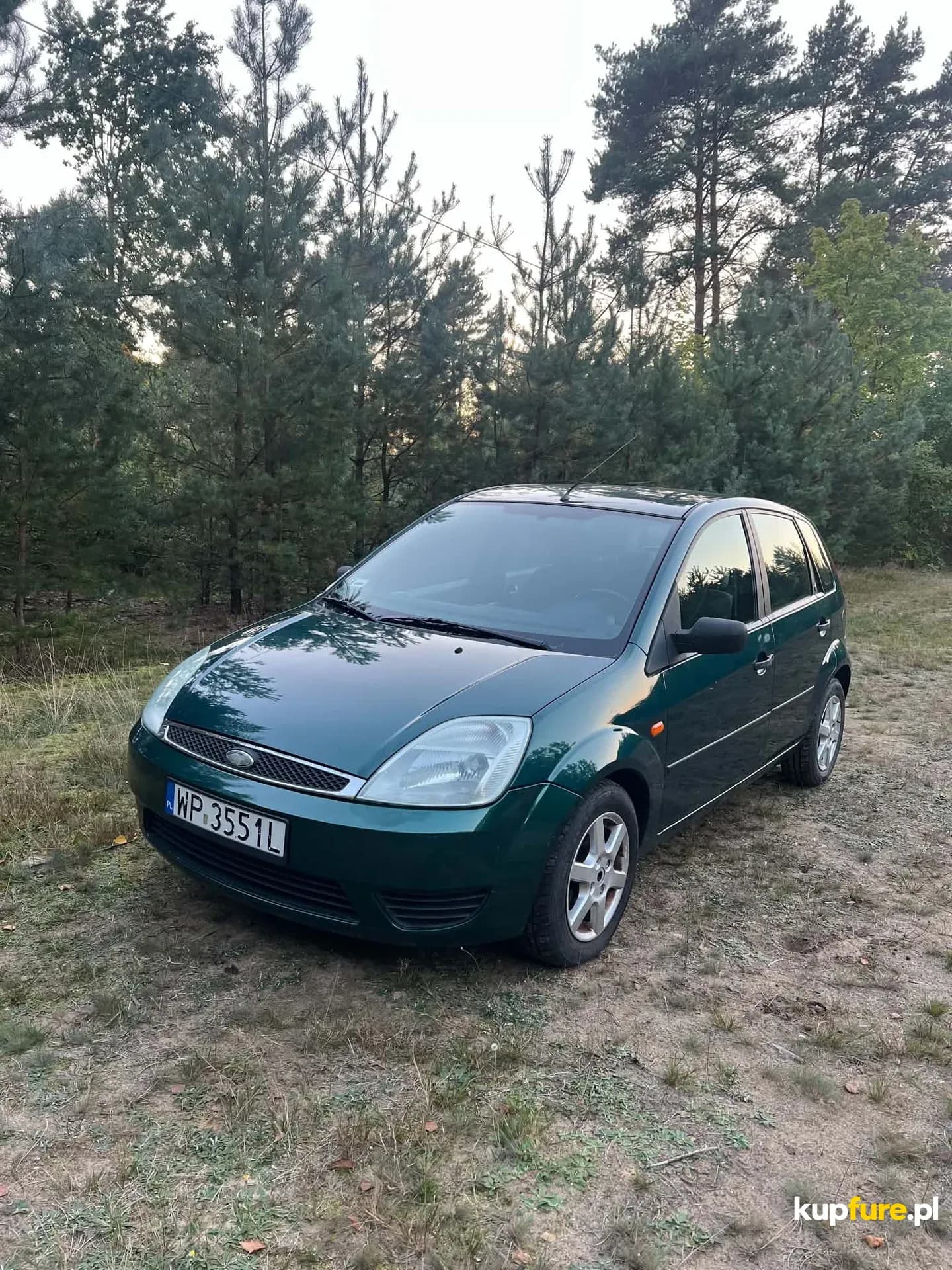 Ford Fiesta 1.4 pb w ładnym stanie...